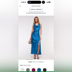 Abercrombie cowl neck draped maxi dress